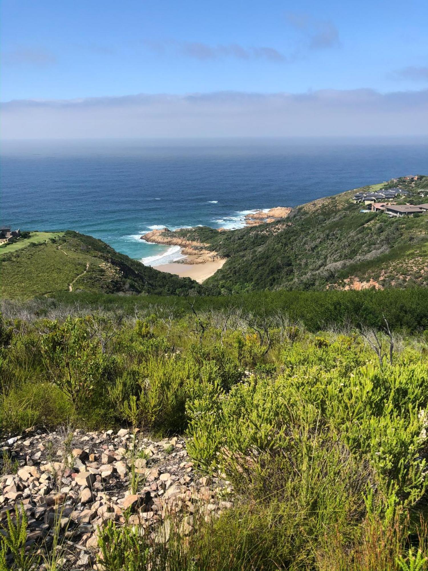 Pezula Nature Retreat Knysna Exteriör bild View of the beach at the headland of the Knysna Heads